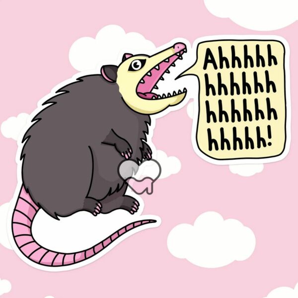 A graphic of Ahhhhhh Possum Sticker available on HeckinMagical.com